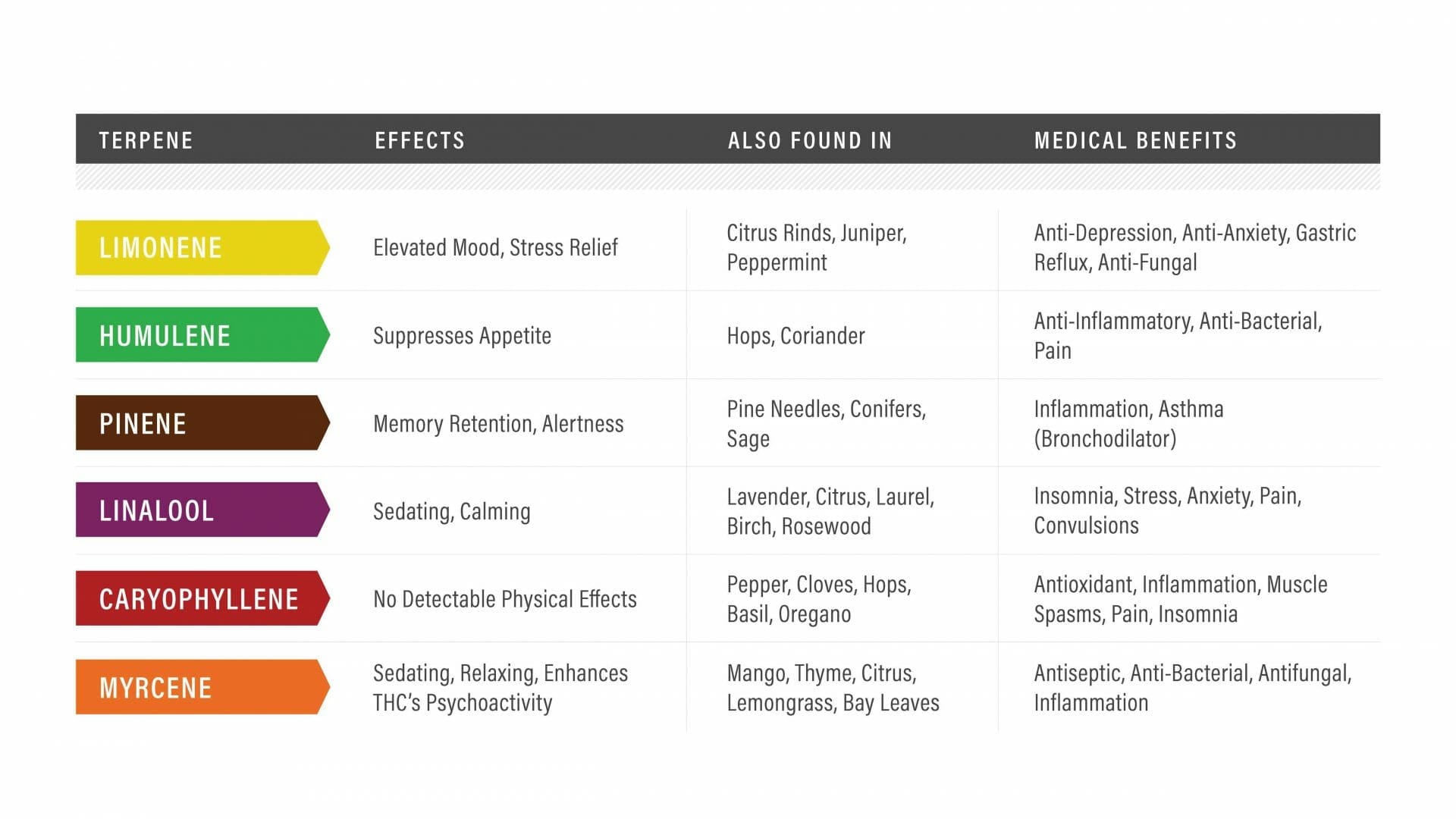 CBD 101