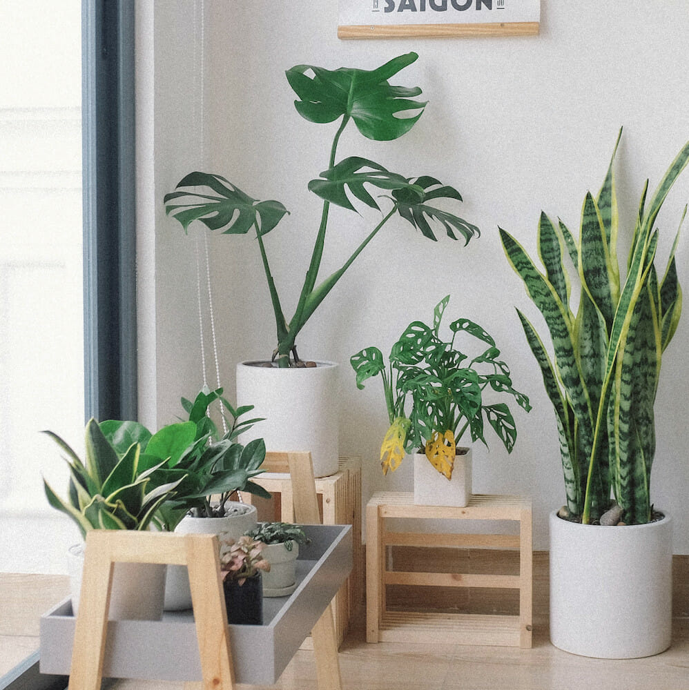 5 Ways to Improve Your Work-From-Home