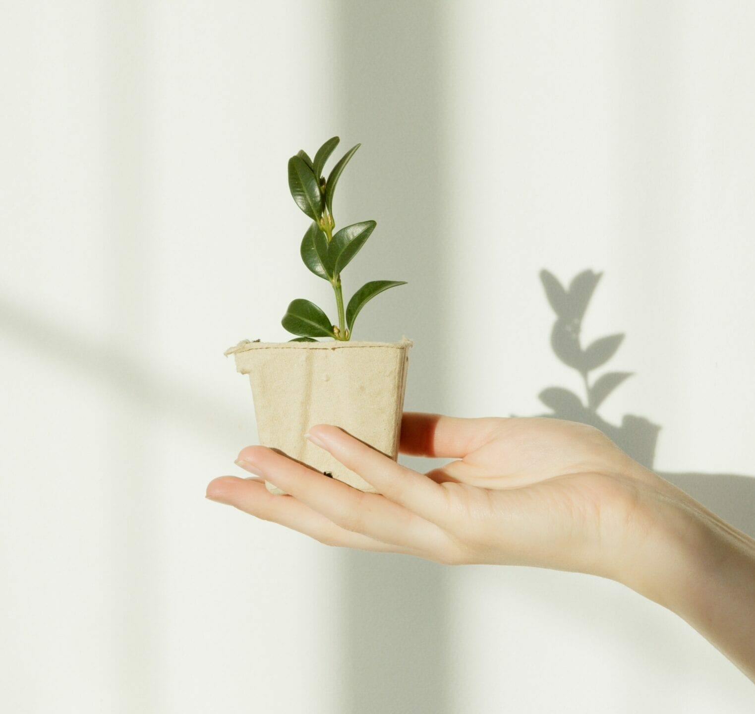 5 Ways to Reduce Your Carbon Footprint