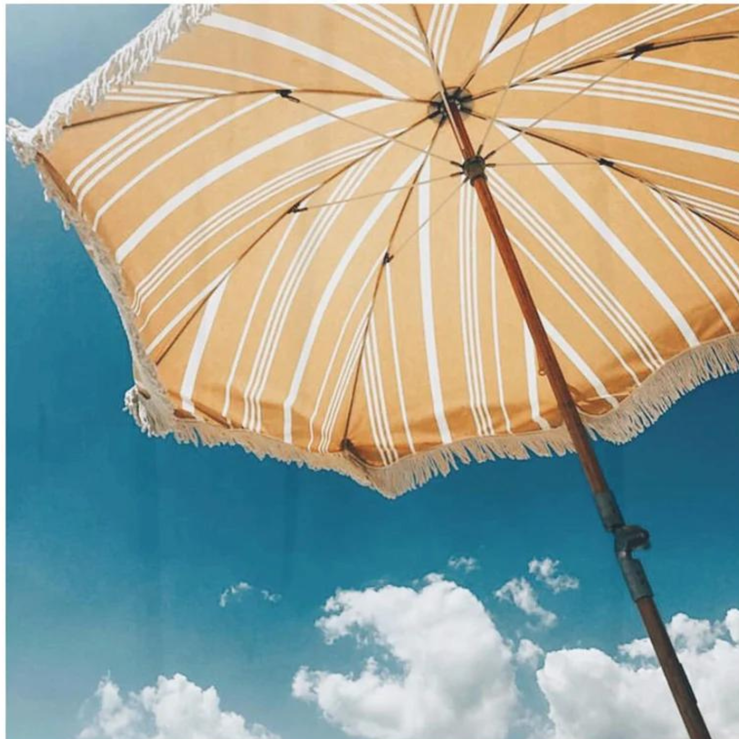 Everything You Need for a Legendary Picnic