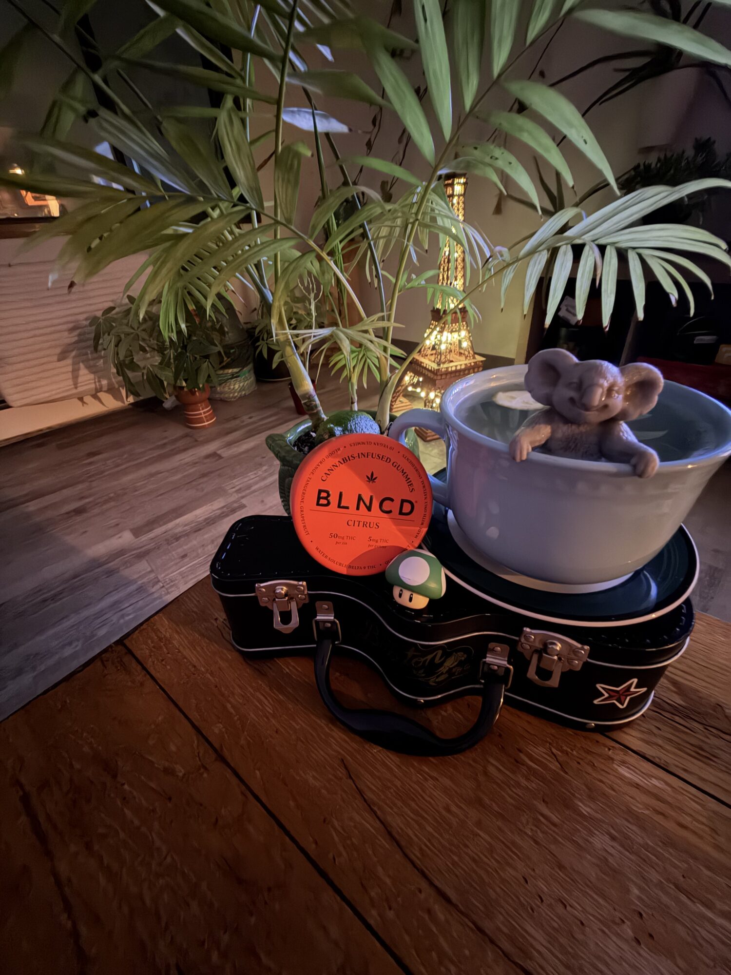 Image #3 from Gabriel Maroto