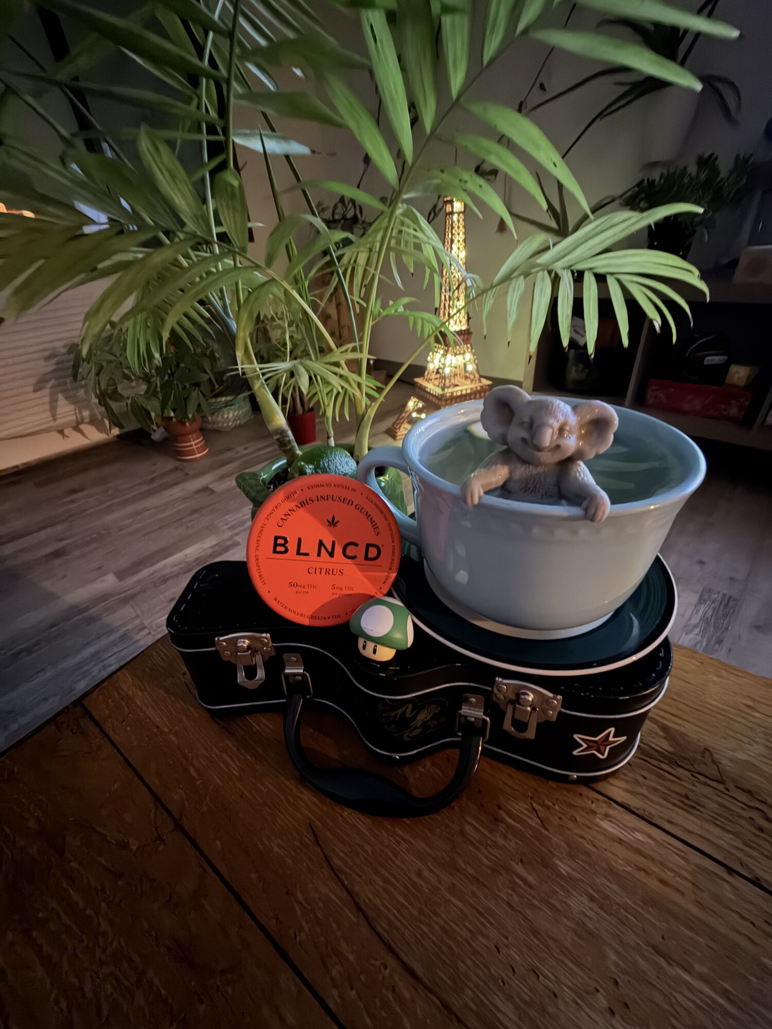 Image #1 from Gabriel Maroto