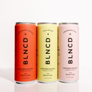 Why Your Dispensary Needs a CBD POS System: Key Features & Benefits for Success