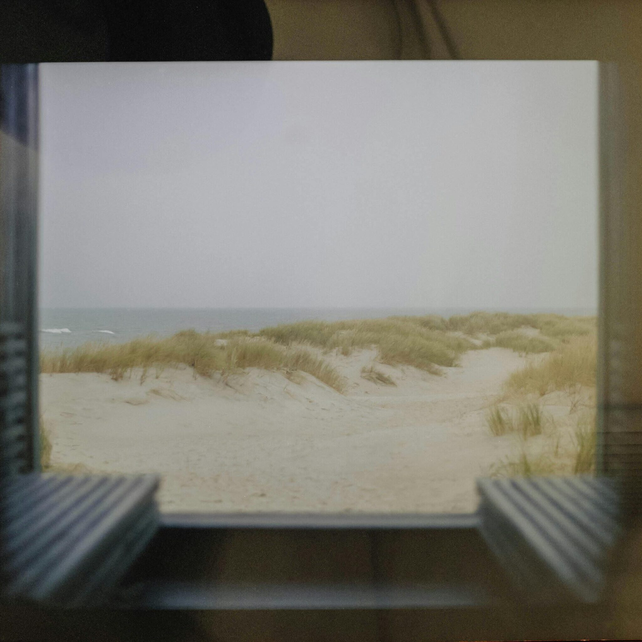 In the Weeds: 5 Tips for Riding Out the High