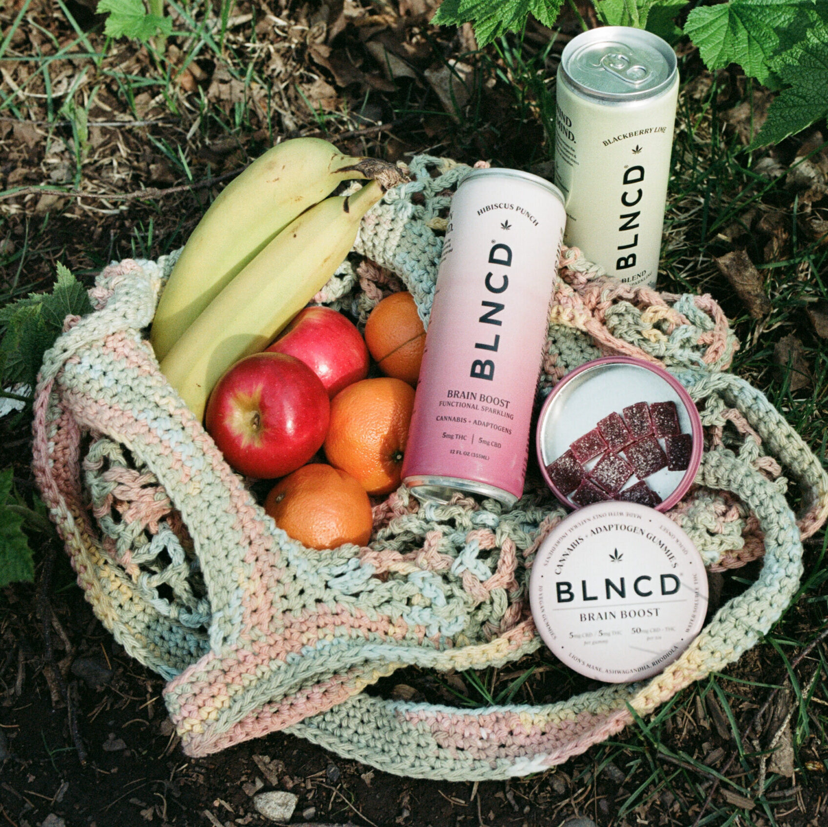 Cannabis and Camping: A Guide to Getting High Up North