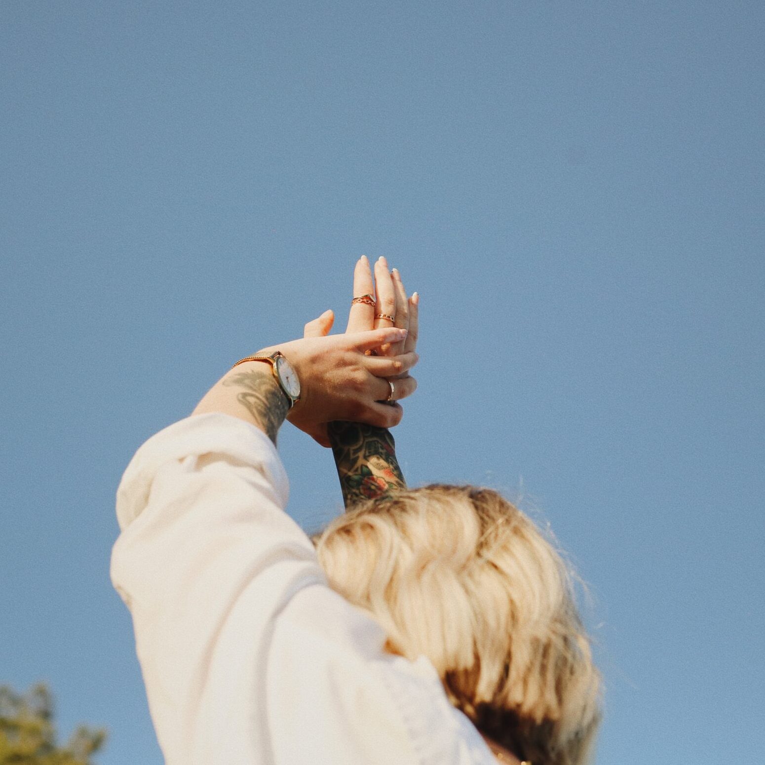 Elevate Your Mind: How Lion’s Mane Unlocks Cognitive Potential