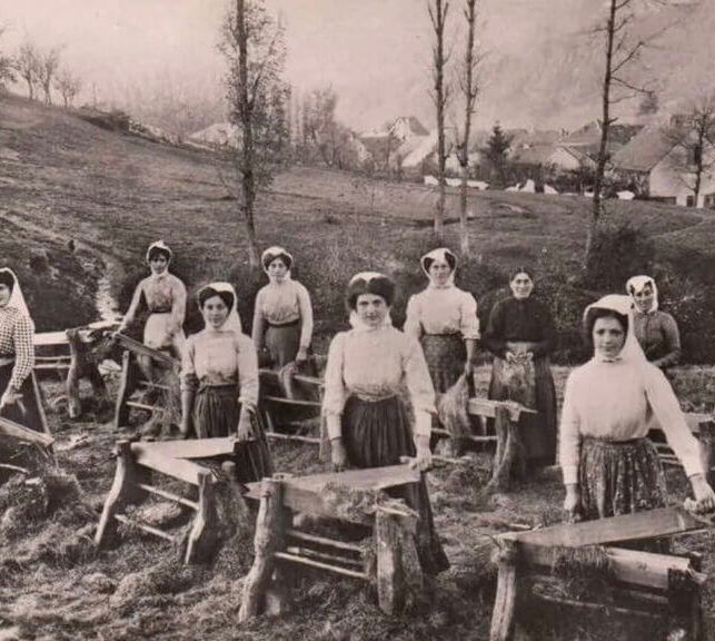 Women & Cannabis: A History of Healing and Advocacy