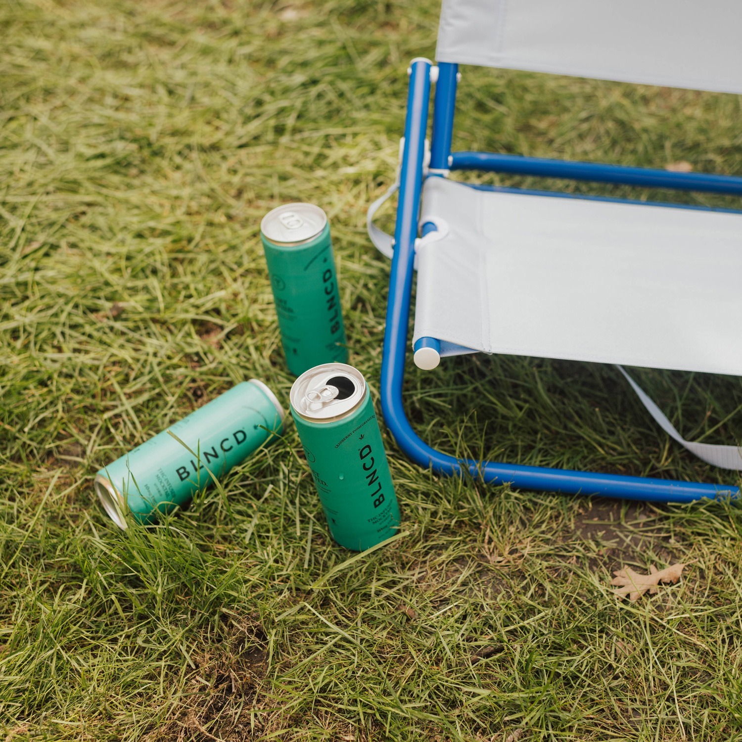 Cranberry Pomegranate Mule – THC Mocktail - Image 4