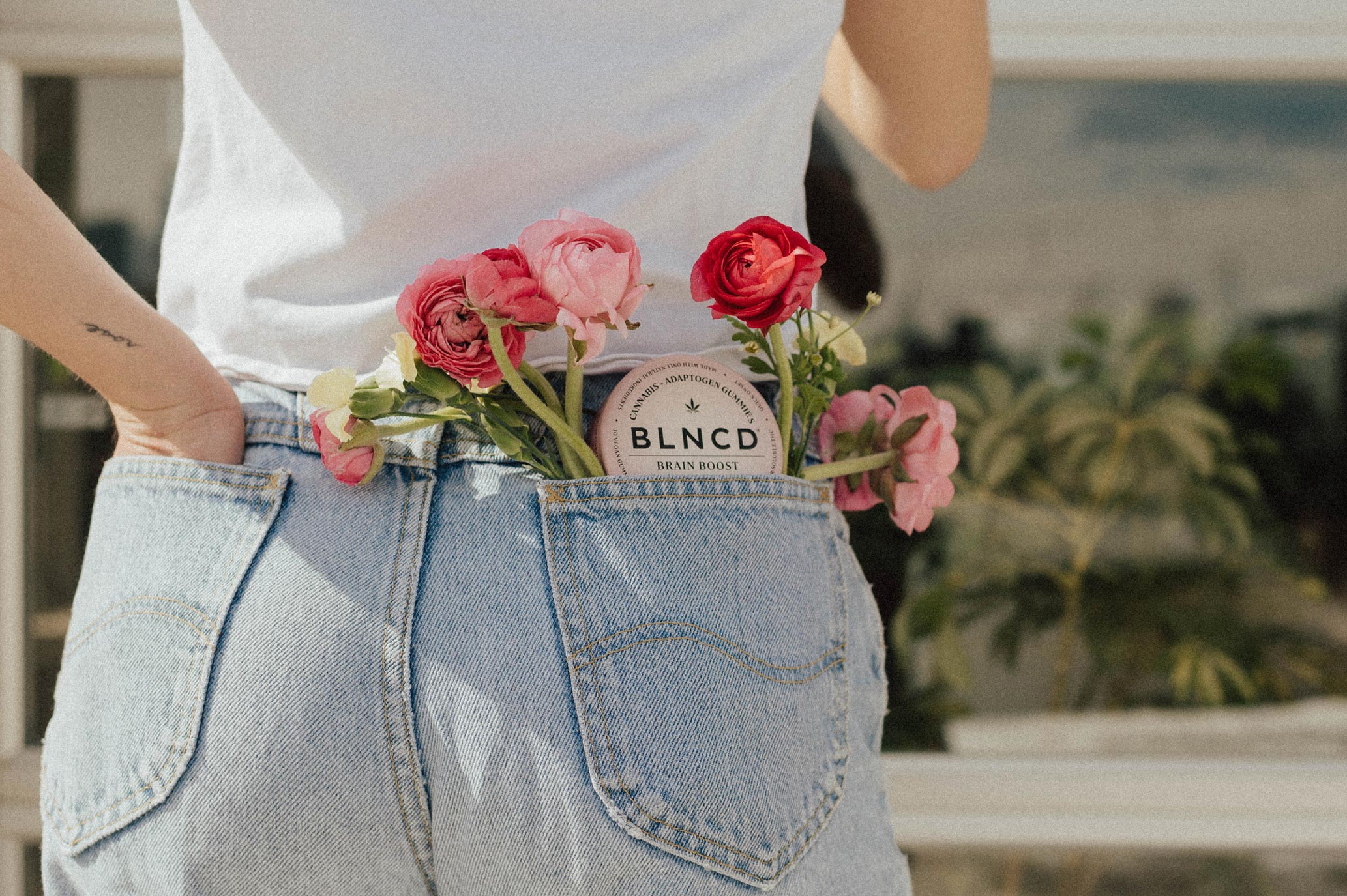 April Sale - Let the Sunshine In